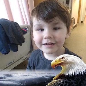 Meet your Posher, Judy